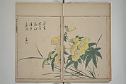 A Collection of Lively Sketches [Of Flowers and Insects] of the Ming Dynasty (Minchō shiken) 明朝紫硯, Ooka Shunboku 大岡春卜 (1680–1763), Set of three woodblock printed books; ink and color on paper, Japan