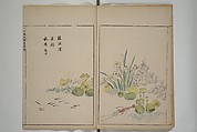 A Collection of Lively Sketches [Of Flowers and Insects] of the Ming Dynasty (Minchō shiken) 明朝紫硯, Ooka Shunboku 大岡春卜 (1680–1763), Set of three woodblock printed books; ink and color on paper, Japan