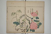 A Collection of Lively Sketches [Of Flowers and Insects] of the Ming Dynasty (Minchō shiken) 明朝紫硯, Ooka Shunboku 大岡春卜 (1680–1763), Set of three woodblock printed books; ink and color on paper, Japan
