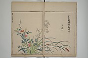 A Collection of Lively Sketches [Of Flowers and Insects] of the Ming Dynasty (Minchō shiken) 明朝紫硯, Ooka Shunboku 大岡春卜 (1680–1763), Set of three woodblock printed books; ink and color on paper, Japan