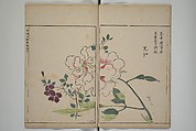A Collection of Lively Sketches [Of Flowers and Insects] of the Ming Dynasty (Minchō shiken) 明朝紫硯, Ooka Shunboku 大岡春卜 (1680–1763), Set of three woodblock printed books; ink and color on paper, Japan