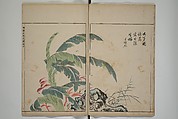 A Collection of Lively Sketches [Of Flowers and Insects] of the Ming Dynasty (Minchō shiken) 明朝紫硯, Ooka Shunboku 大岡春卜 (1680–1763), Set of three woodblock printed books; ink and color on paper, Japan