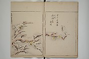 A Collection of Lively Sketches [Of Flowers and Insects] of the Ming Dynasty (Minchō shiken) 明朝紫硯, Ooka Shunboku 大岡春卜 (1680–1763), Set of three woodblock printed books; ink and color on paper, Japan