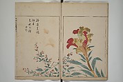 A Collection of Lively Sketches [Of Flowers and Insects] of the Ming Dynasty (Minchō shiken) 明朝紫硯, Ooka Shunboku 大岡春卜 (1680–1763), Set of three woodblock printed books; ink and color on paper, Japan