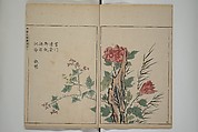 A Collection of Lively Sketches [Of Flowers and Insects] of the Ming Dynasty (Minchō shiken) 明朝紫硯, Ooka Shunboku 大岡春卜 (1680–1763), Set of three woodblock printed books; ink and color on paper, Japan