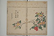 A Collection of Lively Sketches [Of Flowers and Insects] of the Ming Dynasty (Minchō shiken) 明朝紫硯, Ooka Shunboku 大岡春卜 (1680–1763), Set of three woodblock printed books; ink and color on paper, Japan