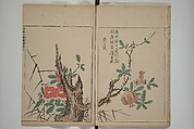 A Collection of Lively Sketches [Of Flowers and Insects] of the Ming Dynasty (Minchō shiken) 明朝紫硯, Ooka Shunboku 大岡春卜 (1680–1763), Set of three woodblock printed books; ink and color on paper, Japan