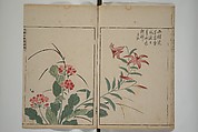 A Collection of Lively Sketches [Of Flowers and Insects] of the Ming Dynasty (Minchō shiken) 明朝紫硯, Ooka Shunboku 大岡春卜 (1680–1763), Set of three woodblock printed books; ink and color on paper, Japan