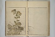 Mirror of Yoshiwara Beauties (Seirō bijin awase sugata kagami) 青楼美人合姿鏡, Katsukawa Shunshō　勝川春章 (Japanese, 1726–1792), Woodblock printed book; ink, color, and mica on paper, Japan