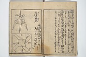 Attributed to Shimokōbe Shūsui 下河辺 拾水 | A Thousand
