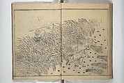 People of Yamato (Japan) Picture Album (Yamato jinbutsu gafu) Second series 倭人物画譜 後編, Yamaguchi Soken 山口素絢 (Japanese, 1759–1818), Woodblock printed book; ink on paper, Japan