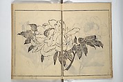 Soken Picture Album: The Plant Section (Soken gafu: Sōka no bu)  素絢画譜 草花之部, Yamaguchi Soken 山口素絢 (Japanese, 1759–1818), Woodblock printed book; ink on paper, Japan