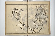 Soken Picture Album: The Plant Section (Soken gafu: Sōka no bu)  素絢画譜 草花之部, Yamaguchi Soken 山口素絢 (Japanese, 1759–1818), Woodblock printed book; ink on paper, Japan