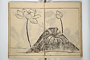Soken Picture Album: The Plant Section (Soken gafu: Sōka no bu)  素絢画譜 草花之部, Yamaguchi Soken 山口素絢 (Japanese, 1759–1818), Woodblock printed book; ink on paper, Japan