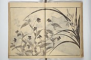 Soken Picture Album: The Plant Section (Soken gafu: Sōka no bu)  素絢画譜 草花之部, Yamaguchi Soken 山口素絢 (Japanese, 1759–1818), Woodblock printed book; ink on paper, Japan