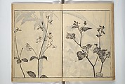 Soken Picture Album: The Plant Section (Soken gafu: Sōka no bu)  素絢画譜 草花之部, Yamaguchi Soken 山口素絢 (Japanese, 1759–1818), Woodblock printed book; ink on paper, Japan