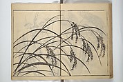 Soken Picture Album: The Plant Section (Soken gafu: Sōka no bu)  素絢画譜 草花之部, Yamaguchi Soken 山口素絢 (Japanese, 1759–1818), Woodblock printed book; ink on paper, Japan