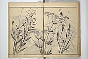Soken Picture Album: The Plant Section (Soken gafu: Sōka no bu)  素絢画譜 草花之部, Yamaguchi Soken 山口素絢 (Japanese, 1759–1818), Woodblock printed book; ink on paper, Japan