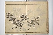 Soken Picture Album: The Plant Section (Soken gafu: Sōka no bu)  素絢画譜 草花之部, Yamaguchi Soken 山口素絢 (Japanese, 1759–1818), Woodblock printed book; ink on paper, Japan
