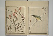Suiseki Picture Album (Suiseki gafu nihen), Second Series 水石画譜 二編, Satō Suiseki 佐藤水石 (Japanese, active 1806–40), Woodblock printed book; ink and color on paper, Japan