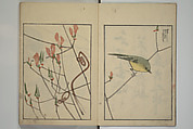 Suiseki Picture Album (Suiseki gafu nihen), Second Series 水石画譜 二編, Satō Suiseki 佐藤水石 (Japanese, active 1806–40), Woodblock printed book; ink and color on paper, Japan