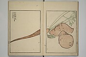 Suiseki Picture Album (Suiseki gafu nihen), Second Series 水石画譜 二編, Satō Suiseki 佐藤水石 (Japanese, active 1806–40), Woodblock printed book; ink and color on paper, Japan