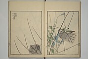 Suiseki Picture Album (Suiseki gafu nihen), Second Series 水石画譜 二編, Satō Suiseki 佐藤水石 (Japanese, active 1806–40), Woodblock printed book; ink and color on paper, Japan
