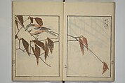Suiseki Picture Album (Suiseki gafu nihen), Second Series 水石画譜 二編, Satō Suiseki 佐藤水石 (Japanese, active 1806–40), Woodblock printed book; ink and color on paper, Japan