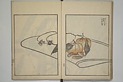 Suiseki Picture Album (Suiseki gafu nihen), Second Series 水石画譜 二編, Satō Suiseki 佐藤水石 (Japanese, active 1806–40), Woodblock printed book; ink and color on paper, Japan