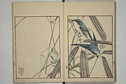 Suiseki Picture Album (Suiseki gafu nihen), Second Series 水石画譜 二編, Satō Suiseki 佐藤水石 (Japanese, active 1806–40), Woodblock printed book; ink and color on paper, Japan