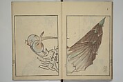 Suiseki Picture Album (Suiseki gafu nihen), Second Series 水石画譜 二編, Satō Suiseki 佐藤水石 (Japanese, active 1806–40), Woodblock printed book; ink and color on paper, Japan