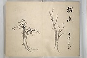 Taigadō (Taiga Hall at Sōrinji Temple) Picture Album, Ike Taiga (Japanese, 1723–1776), Woodblock printed book (orihon, accordion-style); ink and color on paper, Japan