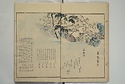 Gathering of the Jewels (Tama hiroi), Nukina Kaioku 貫名海屋 (Japanese, 1778–1863), Set of two woodblock printed books; ink and color on paper, Japan
