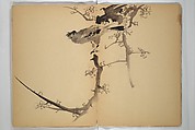 Untitled Album of Seventeen Sketches of Birds, Fowers and Landscapes, Shōfusai Tōsen 東泉? (Japanese, active second half of the 19th century), Woodblock printed book; ink and color on paper, Japan