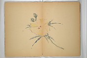 Untitled Album of Seventeen Sketches of Birds, Fowers and Landscapes, Shōfusai Tōsen 東泉? (Japanese, active second half of the 19th century), Woodblock printed book; ink and color on paper, Japan