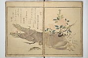 Picture Book of Selected Insects (The Insect Book) (Ehon mushi erami) 画本虫撰, Kitagawa Utamaro 喜多川歌麿 (Japanese, ca. 1754–1806), Set of two woodblock printed books; ink, color, and mica (vol. 2) on paper, Japan