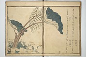 Picture Book of Selected Insects (The Insect Book) (Ehon mushi erami) 画本虫撰, Kitagawa Utamaro 喜多川歌麿 (Japanese, ca. 1754–1806), Set of two woodblock printed books; ink, color, and mica (vol. 2) on paper, Japan