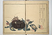 Picture Book of Selected Insects (The Insect Book) (Ehon mushi erami) 画本虫撰, Kitagawa Utamaro 喜多川歌麿 (Japanese, ca. 1754–1806), Set of two woodblock printed books; ink, color, and mica (vol. 2) on paper, Japan