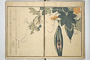 Picture Book of Selected Insects (The Insect Book) (Ehon mushi erami) 画本虫撰, Kitagawa Utamaro 喜多川歌麿 (Japanese, ca. 1754–1806), Set of two woodblock printed books; ink, color, and mica (vol. 2) on paper, Japan