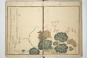 Picture Book of Selected Insects (The Insect Book) (Ehon mushi erami) 画本虫撰, Kitagawa Utamaro 喜多川歌麿 (Japanese, ca. 1754–1806), Set of two woodblock printed books; ink, color, and mica (vol. 2) on paper, Japan