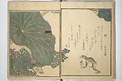 Picture Book of Selected Insects (The Insect Book) (Ehon mushi erami) 画本虫撰, Kitagawa Utamaro 喜多川歌麿 (Japanese, ca. 1754–1806), Set of two woodblock printed books; ink, color, and mica (vol. 2) on paper, Japan