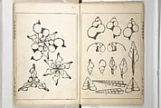 Shell Motifs (Kaigara dammen zuan) 貝殻断面図案, Yoichirō Hirase 平瀬 與一郎 (Japanese, 1859–1925), Woodblock printed book; ink and color on paper, Japan