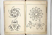 Shell Motifs (Kaigara dammen zuan) 貝殻断面図案, Yoichirō Hirase 平瀬 與一郎 (Japanese, 1859–1925), Woodblock printed book; ink and color on paper, Japan