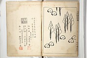Shell Motifs (Kaigara dammen zuan) 貝殻断面図案, Yoichirō Hirase 平瀬 與一郎 (Japanese, 1859–1925), Woodblock printed book; ink and color on paper, Japan