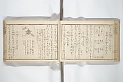 Compendium of Designs (Tekagami moyō setsuyō) 手鑑模様節用, Umemaru Yūzen 梅丸友染 (Japanese, active late 18th century), Woodblock printed book; ink, color, and mica on paper, Japan
