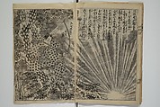 Chaps. 4, 5 of Legends of the Dog Warriors (Hakkenden) 八犬伝；版下絵, Utagawa Yoshimune 歌川 芳宗 (Japanese, 1817–1880), Three books (in hanshita-e form); ink and light colors on paper, Japan