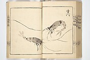 Handbook of Fashionable Cuisine for the Epicures of Edo (Edo ryūkō ryōri tsū taizen) 江戸流行料理通大全; 料理通初編&二編, Kuwagata Keisai 鍬形蕙斎 (Japanese, 1764–1824), Woodblock printed book; ink on paper, Japan