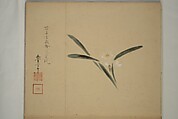 Album of Sketches, Yūkakudō 幽覚堂 (Japanese), Woodblock printed book (orihon, accordion-style); ink and color on paper, Japan