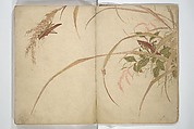 Shunkei Picture Album (Shunkei gafu) 春渓画譜, Mori Shunkei 森春渓 (Japanese, active 1800–20), Woodblock printed book (orihon, accordion-style); ink and color on paper, Japan