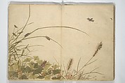 Shunkei Picture Album (Shunkei gafu) 春渓画譜, Mori Shunkei 森春渓 (Japanese, active 1800–20), Woodblock printed book (orihon, accordion-style); ink and color on paper, Japan